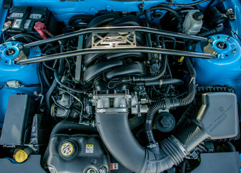 Illustration for article titled For $32,000, This 2010 Mustang GT Has Jalopnik Written All Over It